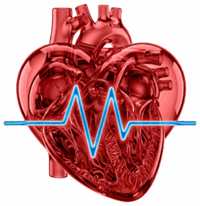Análisis de Salud Cardiovascular y Perfil de Lípidos