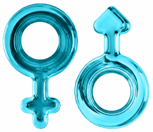 Perfil Hormonal y Sistema Endocrino