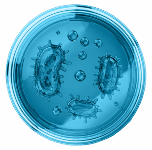 Microbiología y Cultivos