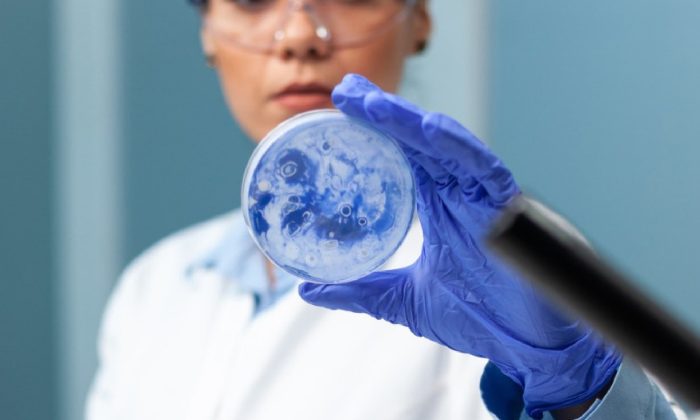 Descubre el nuevo Análisis Bio-Integral en Oriente