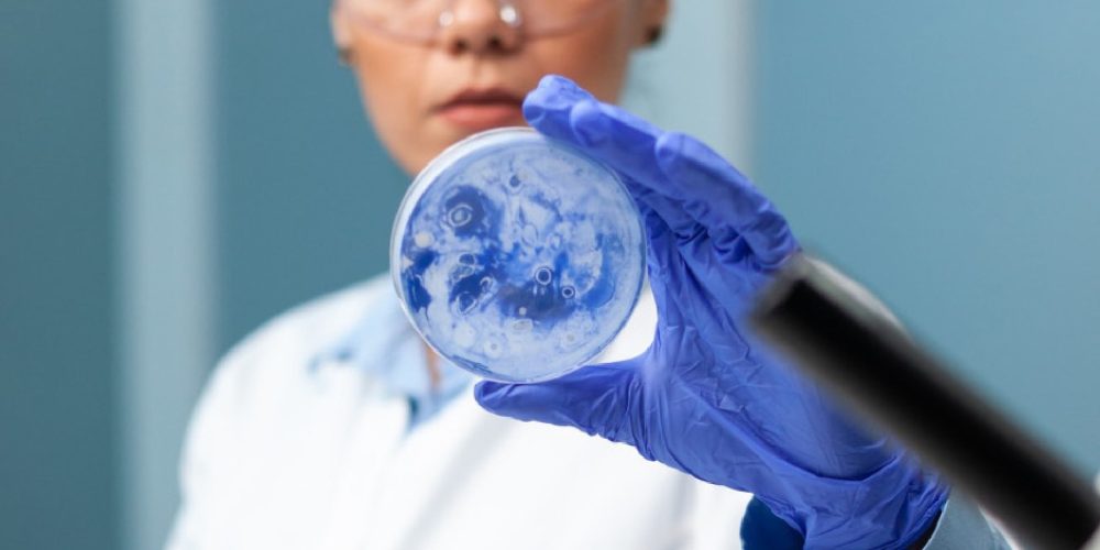 Descubre el nuevo Análisis Bio-Integral en Oriente